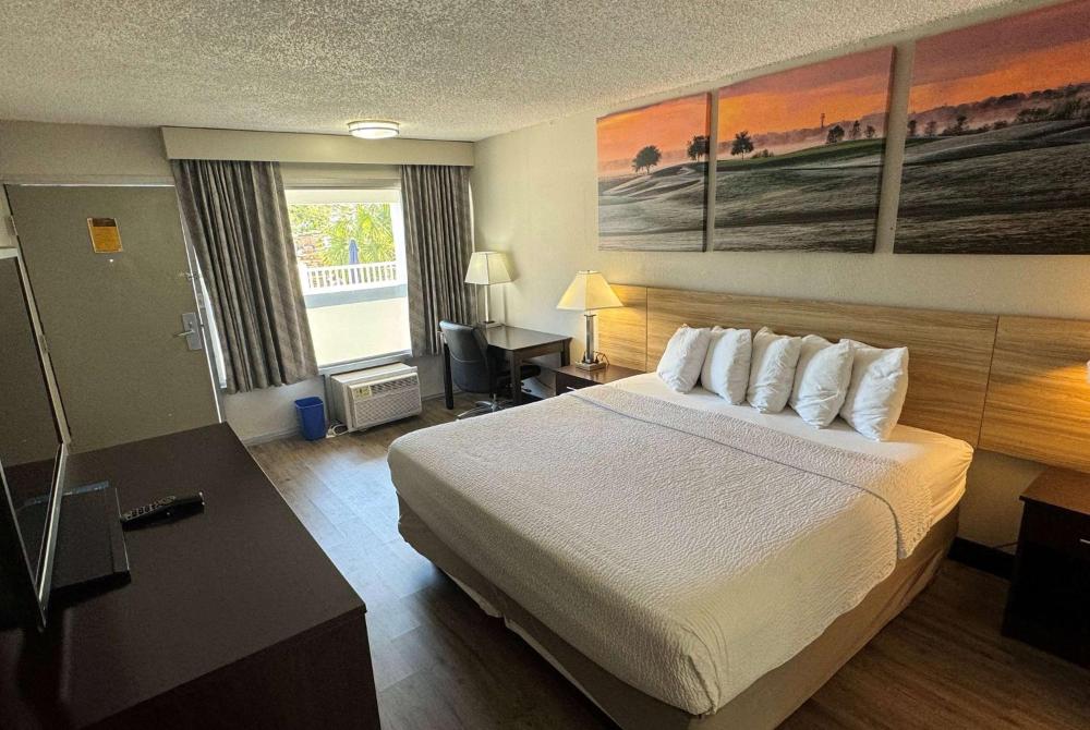 1 King Bed, Mobility/Hearing Impaired Accessible Room, Roll-in Shower, Non-Smoking interior